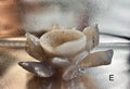 Agate Geode Lotus Flower E - Brazil