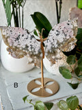 Ocean Jasper Butterfly B