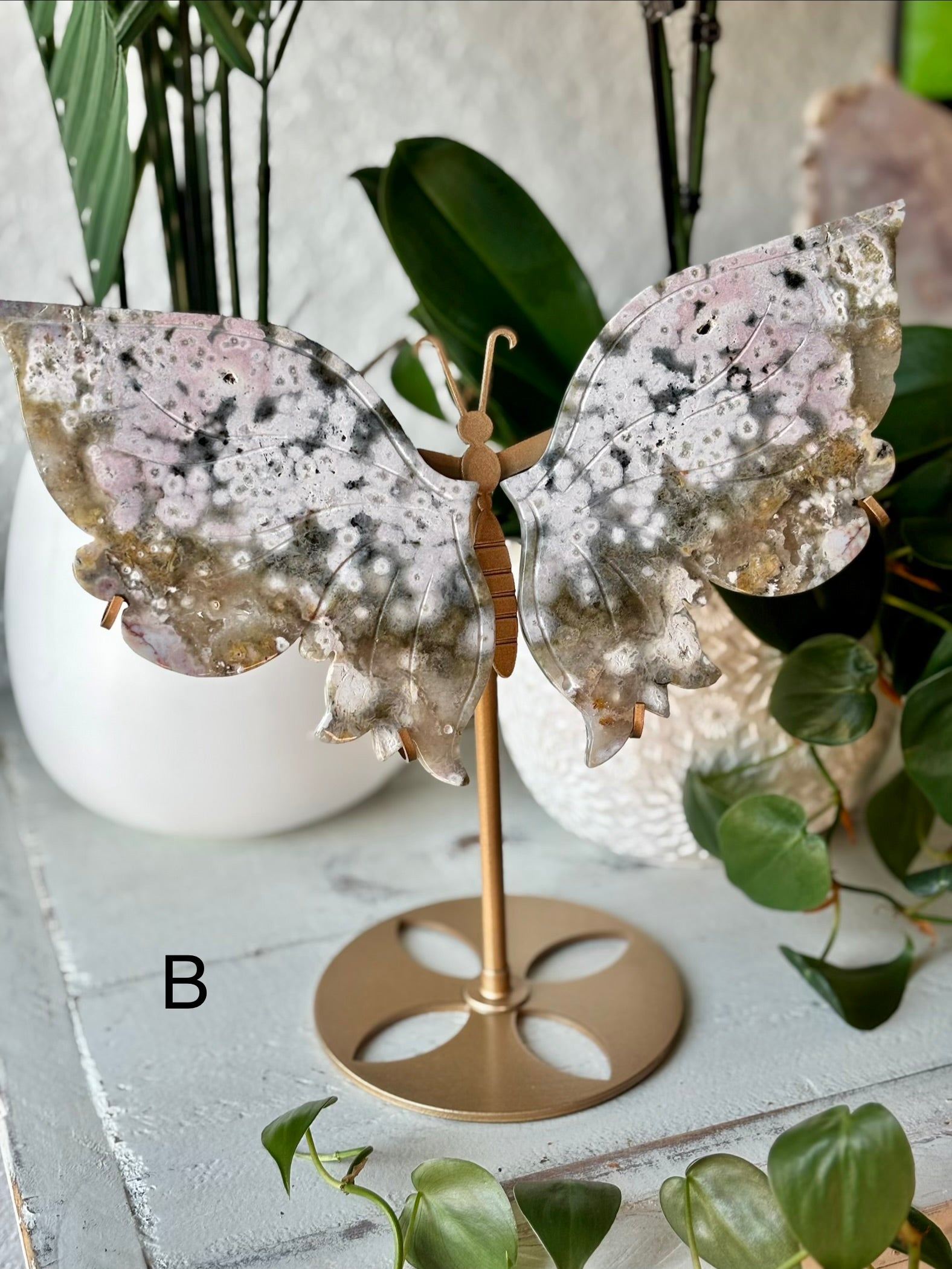 Ocean Jasper Butterfly B