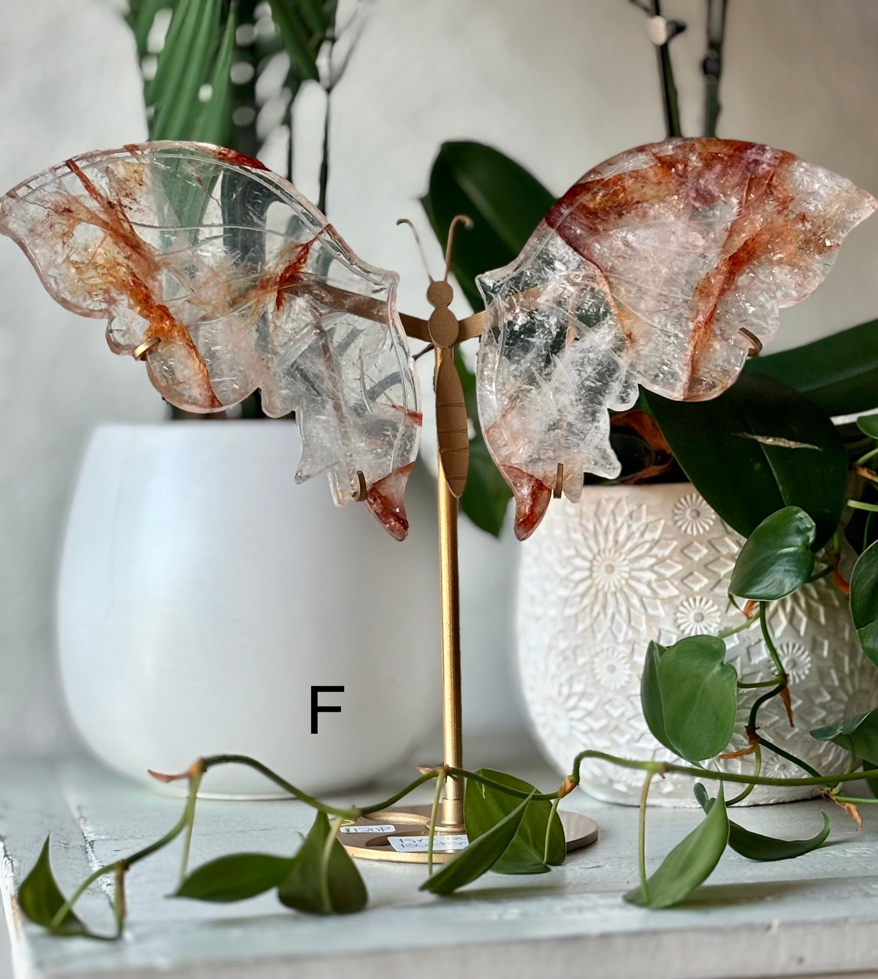 Fire Quartz Butterfly F