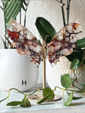 Fire Quartz Butterfly H