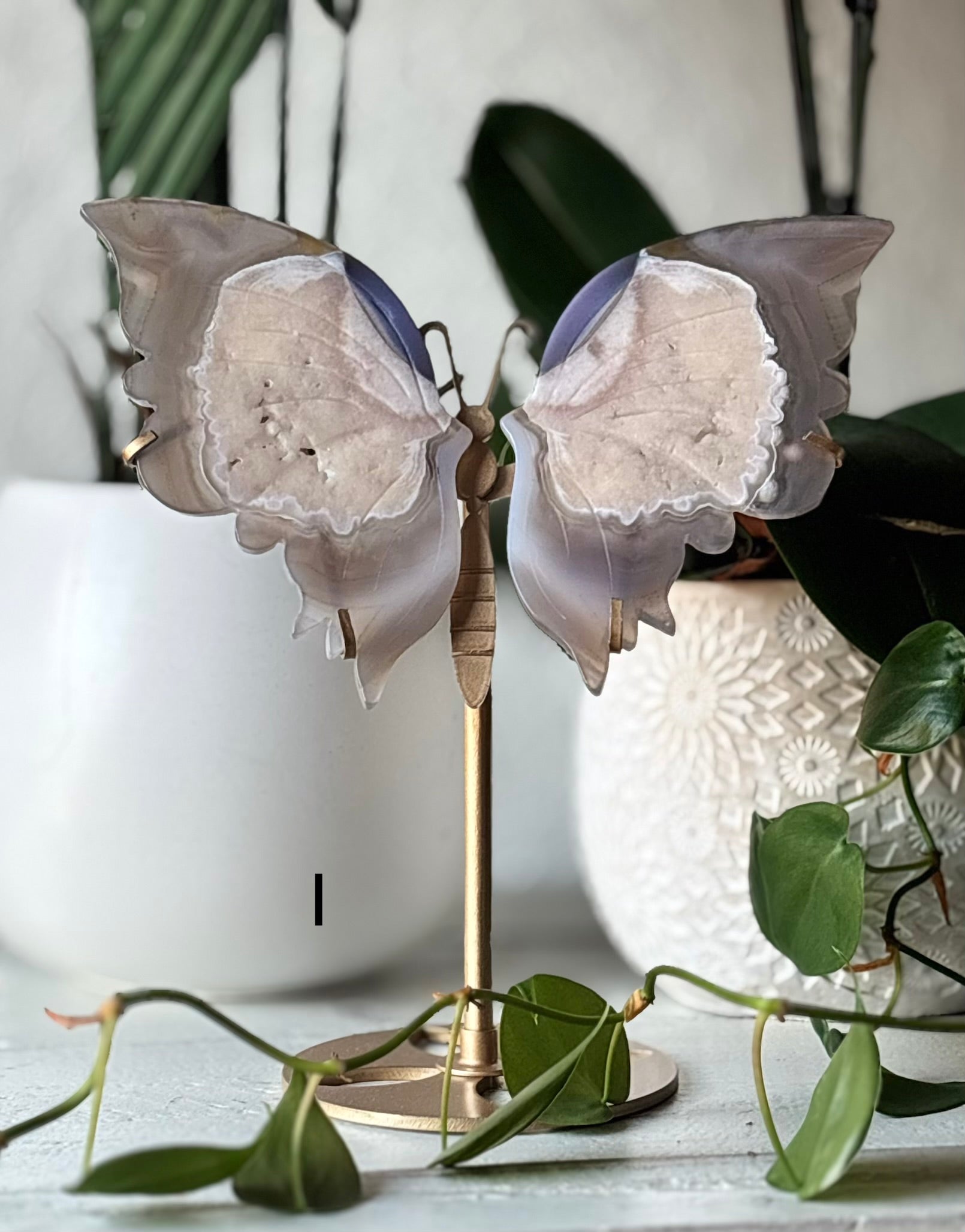 Druzy Agate Butterfly I