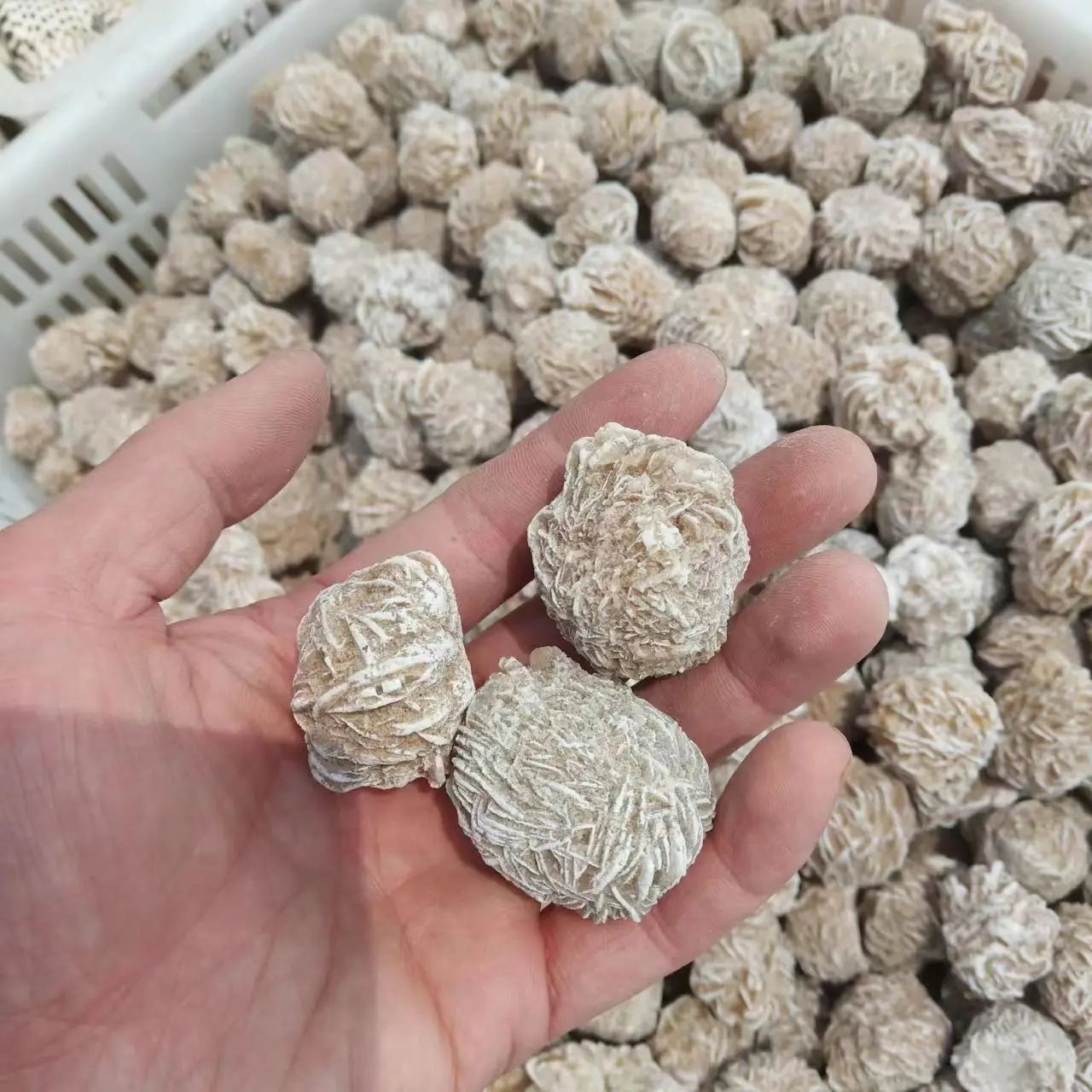Natural Mineral  Desert Rose Mineral Energy Stone Home Stone Decoration Raw Stone Collection Teaching Specimens